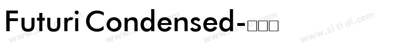 Futuri Condensed字体转换